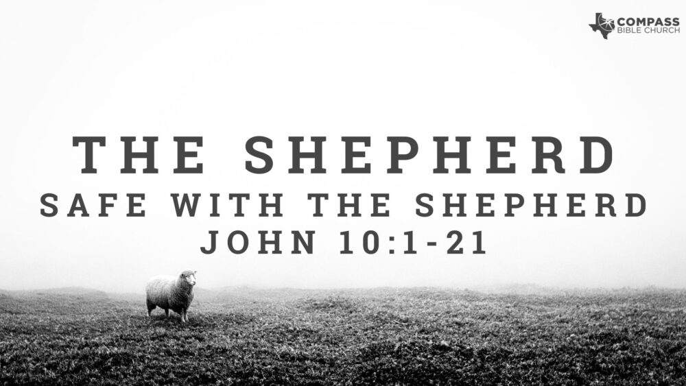 Safe With The Shepherd (John 10:1-21) Image