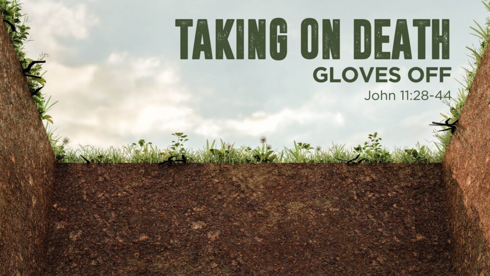 Gloves Off (John 11:28-44) Image