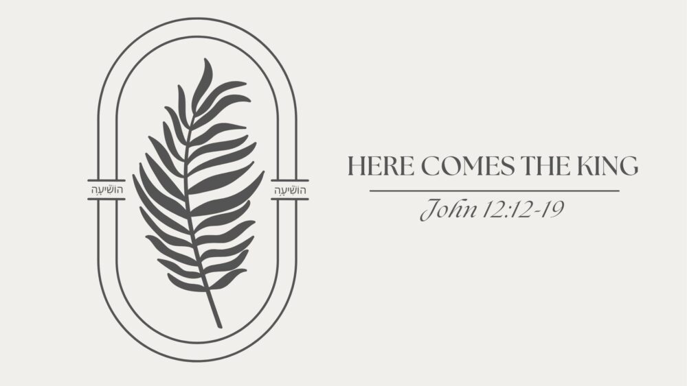 Here Comes The King (John 12:12-19)