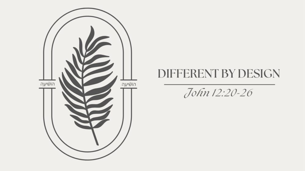 Different By Design (John 12:12-26)