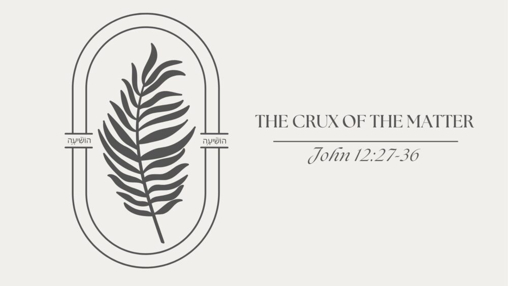 The Crux of the Matter (John 12:27-36)