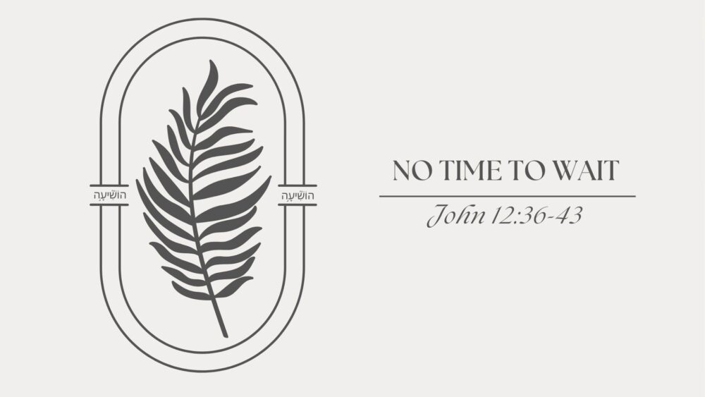 No Time to Wait (John 12:36-43)