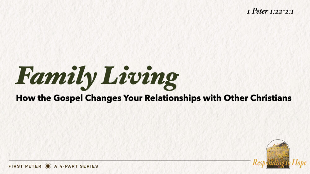 Family Living (1 Peter 1:22-2:1) Image